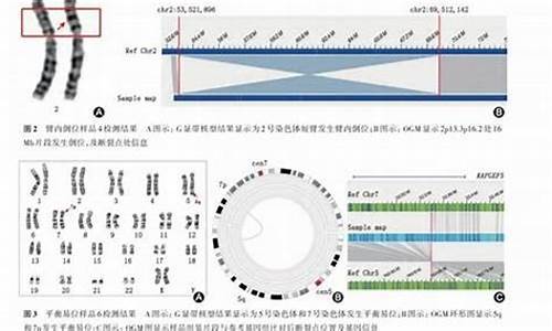 基因检测查宝宝性别与其他医学检查（如羊水穿刺）有何不同？