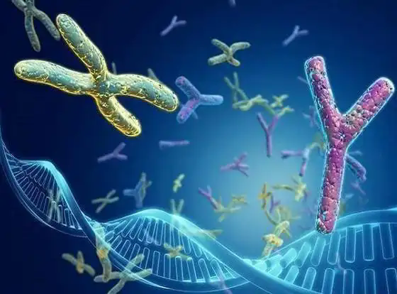 基因检测在怀孕多久做最好