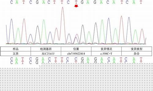 如果基因检测显示不希望的性别，是否会影响孕妇的决定？