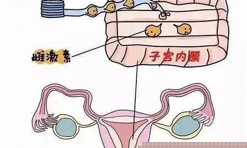 排卵诱导治疗如何进行？