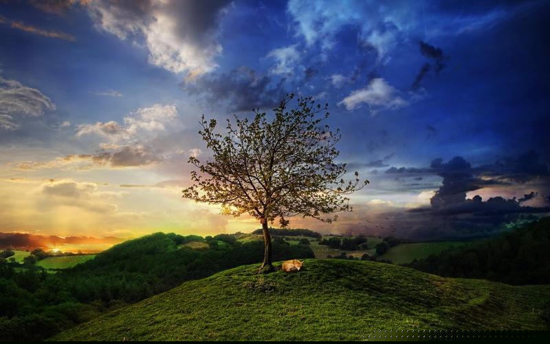 分娩前需要进行哪些心理准备?