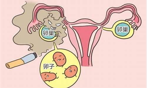 如何改善卵巢功能？
