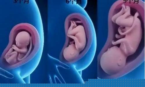 怀孕中期胎儿发育正常吗?