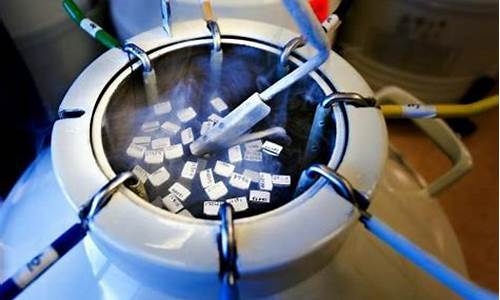 选择性冷冻胚胎存储对不孕治疗有什么作用？