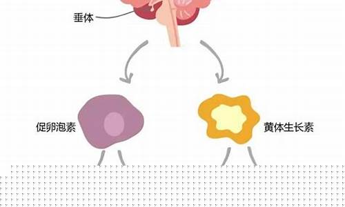 ﻿产后如何调整体内激素水平？