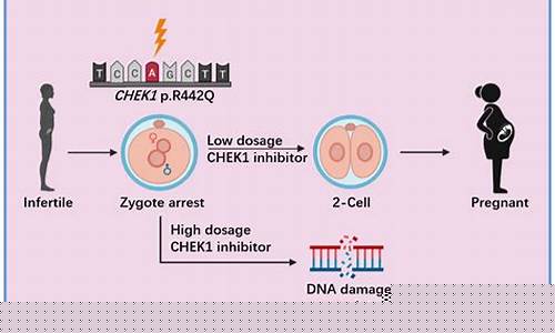 受精障碍如何解决？