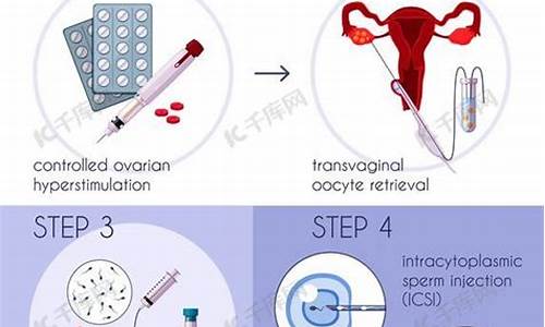 体外受精（IVF）治疗不孕的成功率有多高？
