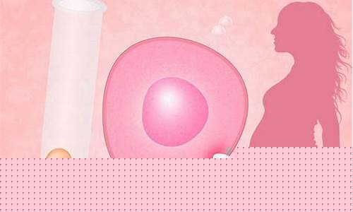 试管婴儿治疗过程中需要注意哪些问题？