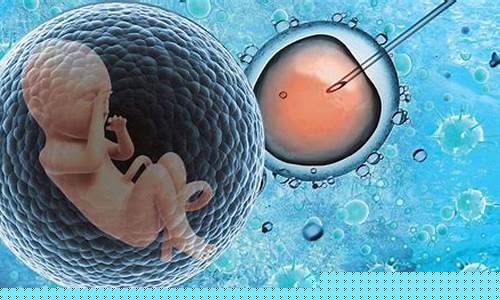 胚胎移植的注意事项是什么？