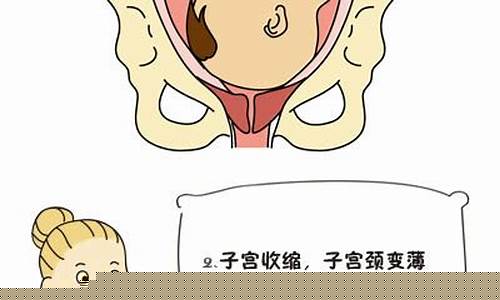 分娩时,宫颈扩张的速度如何控制?