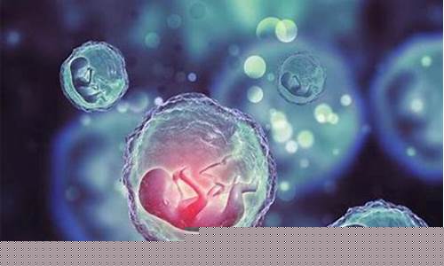 试管婴儿的胚胎移植注意事项是什么？