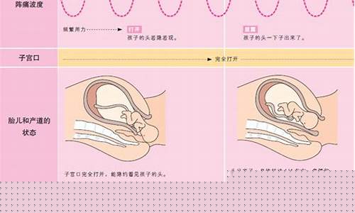 分娩时,母婴之间的联系如何维持?