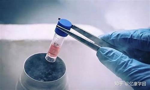 胚胎冷冻保存需要什么条件？